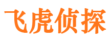 西峡市场调查